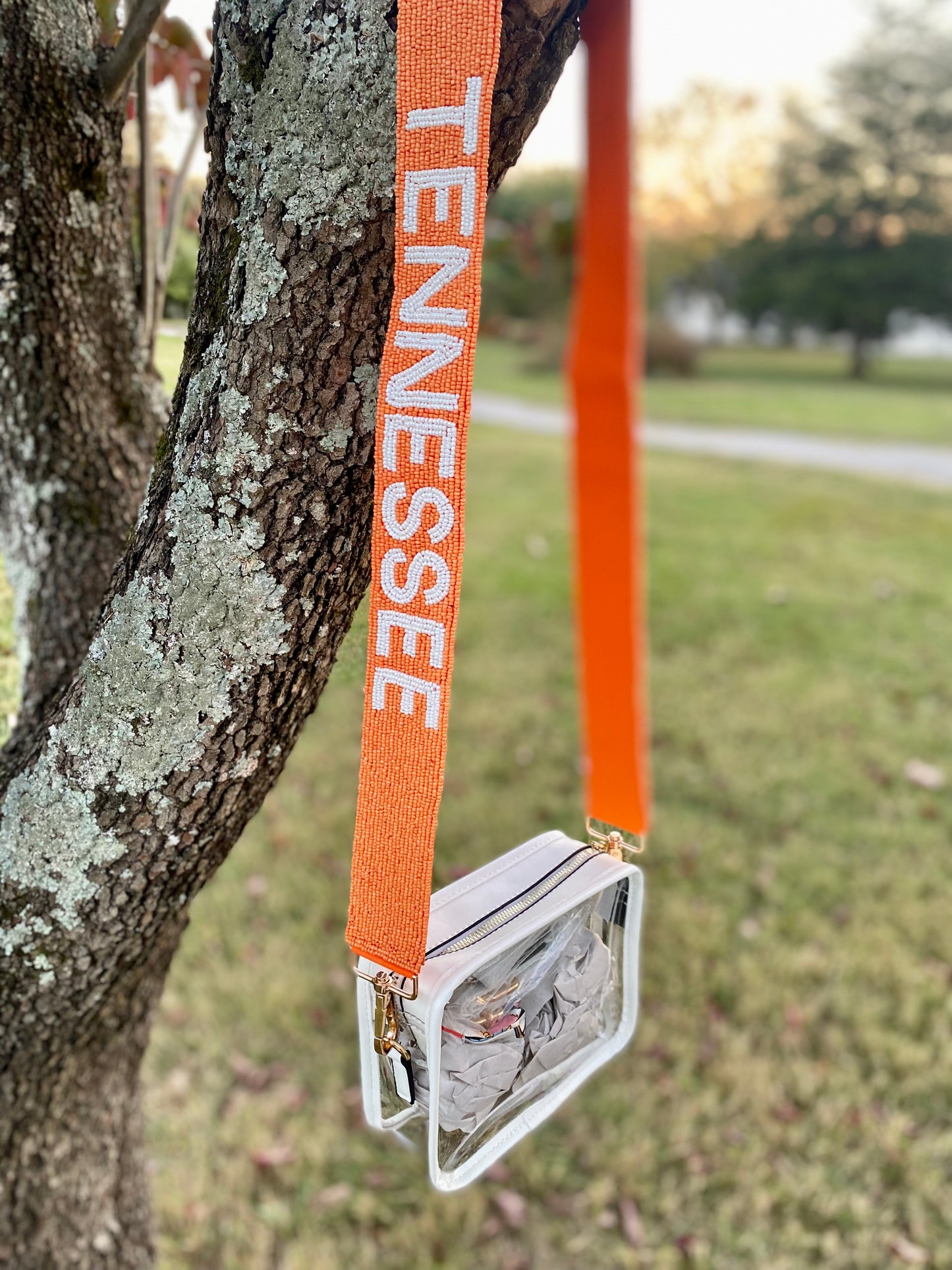 Clear Stadium Bags with Beaded Straps